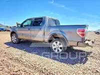 2010 Ford F-150 фото