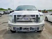2010 Ford F-150 photo