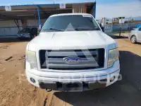 2010 Ford F-150 photo