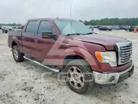 2010 Ford F-150 photo