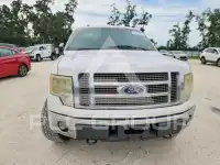 2010 Ford F-150 фото