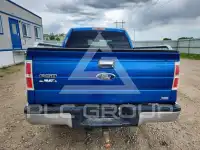 2010 Ford F-150 фото