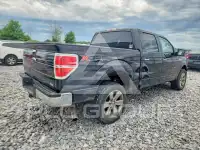 2010 Ford F-150 photo