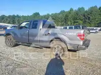 2010 Ford F-150 фото