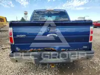 2010 Ford F-150 фото