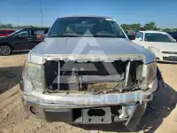 2010 Ford F-150 photo