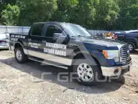 2010 Ford F-150 фото