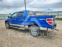 2010 Ford F-150 фото