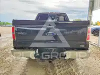 2010 Ford F-150 photo