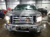 2010 Ford F-150 фото