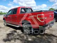 2010 Ford F-150 photo