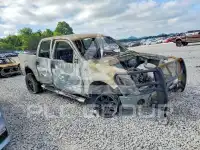 2010 Ford F-150 photo