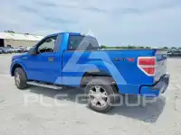 2010 Ford F-150 photo