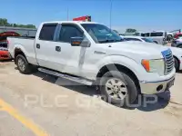 2010 Ford F-150 photo