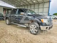 2010 Ford F-150 photo