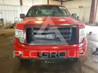 2010 Ford F-150 photo