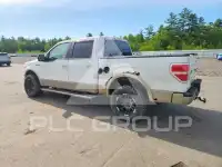2010 Ford F-150 photo