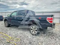 2010 Ford F-150 photo