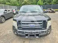 2010 Ford F-150 фото
