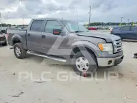 2010 Ford F-150 photo
