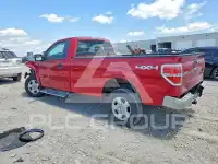 2010 Ford F-150 photo
