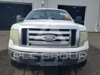 2010 Ford F-150 photo