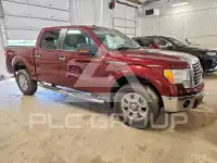 2010 Ford F-150 photo