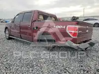 2010 Ford F-150 photo