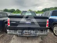 2010 Ford F-150 photo