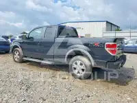 2010 Ford F-150 фото