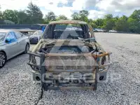 2010 Ford F-150 photo