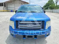 2010 Ford F-150 photo