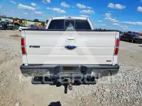 2010 Ford F-150 photo