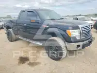2010 Ford F-150 фото