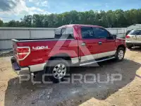2010 Ford F-150 photo
