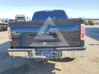2010 Ford F-150 photo