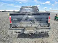 2010 Ford F-150 фото