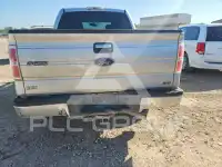 2010 Ford F-150 photo