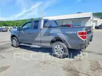 2010 Ford F-150 photo