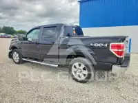 2010 Ford F-150 фото