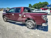 2010 Ford F-150 фото