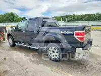 2010 Ford F-150 photo