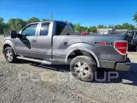 2010 Ford F-150 photo