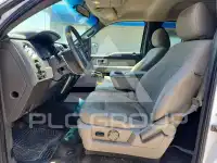 2010 Ford F-150 photo