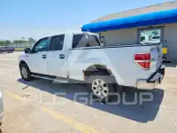 2010 Ford F-150 photo