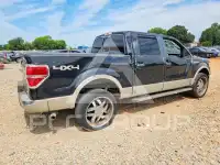 2010 Ford F-150 фото