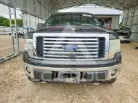 2010 Ford F-150 photo