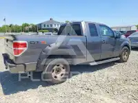2010 Ford F-150 photo