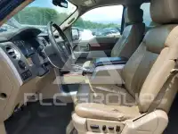 2010 Ford F-150 photo