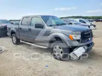 2010 Ford F-150 photo
